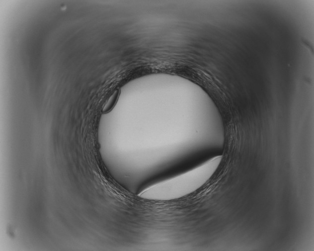 X0000100381345200806060816