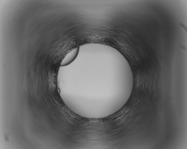 X0000100381346200806060816