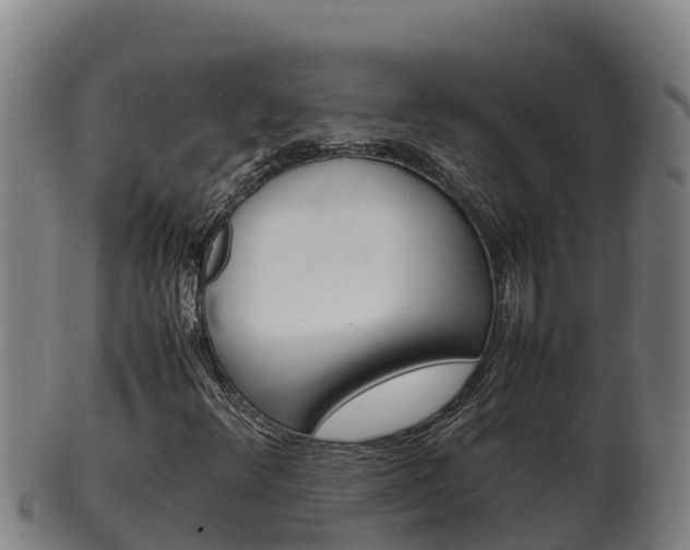 X0000100381348200806060816