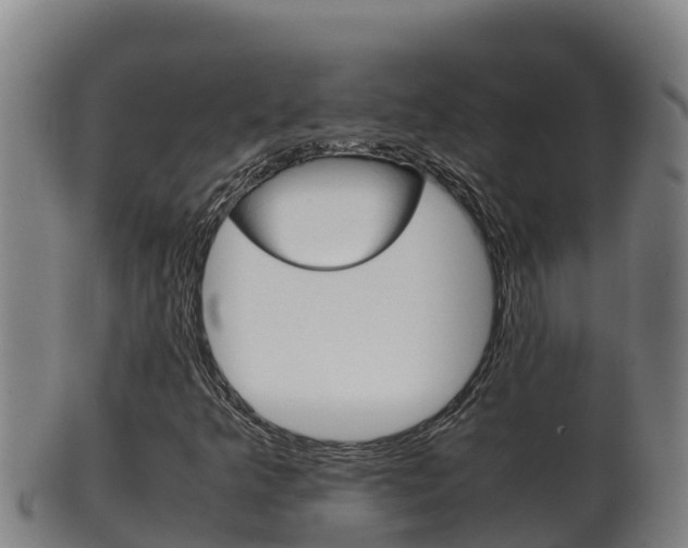 X0000100381349200806060816