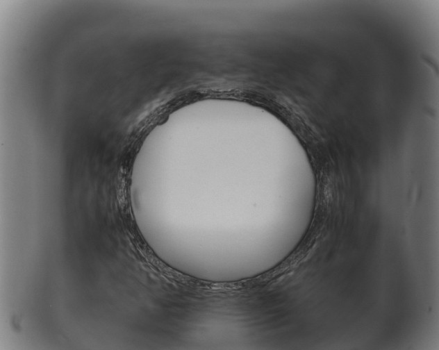 X0000100381350200806060816