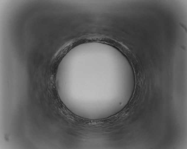 X0000100381351200806060816