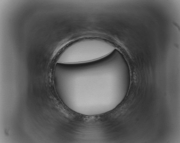 X0000100381352200806060816