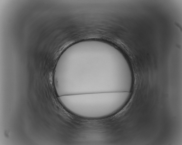 X0000100381353200806060816