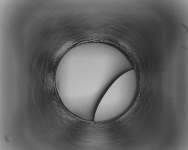 X0000100381354200806060816