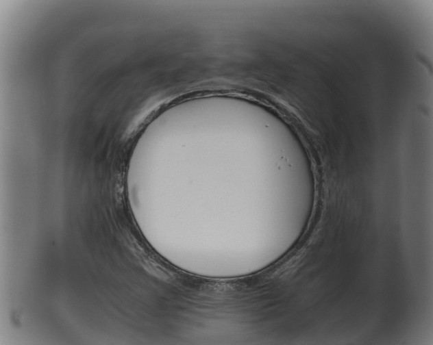 X0000100381355200806060816