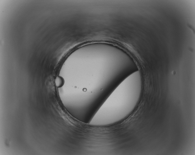X0000100381356200806060816