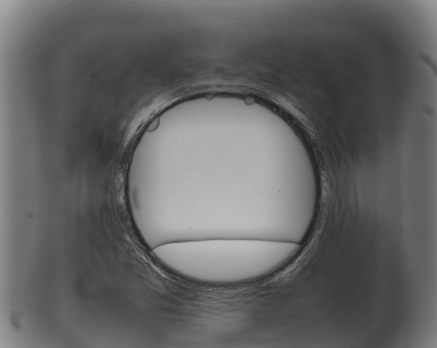 X0000100381357200806060816