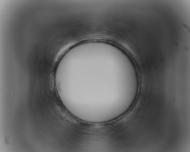 X0000100381358200806060816