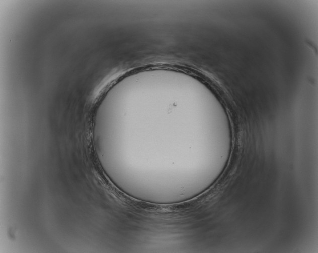 X0000100381359200806060816