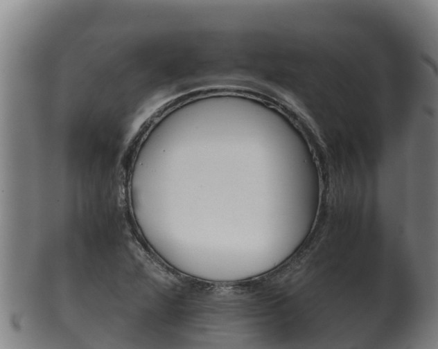 X0000100381360200806060816