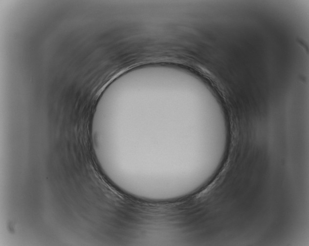X0000100381361200806060816