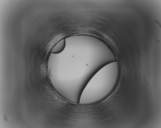X0000100381362200806060816