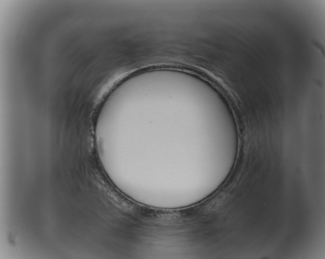 X0000100381363200806060816