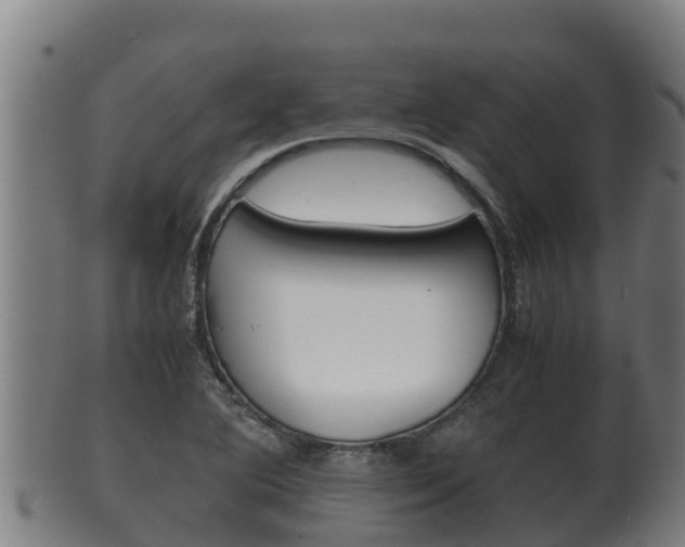 X0000100381364200806060816