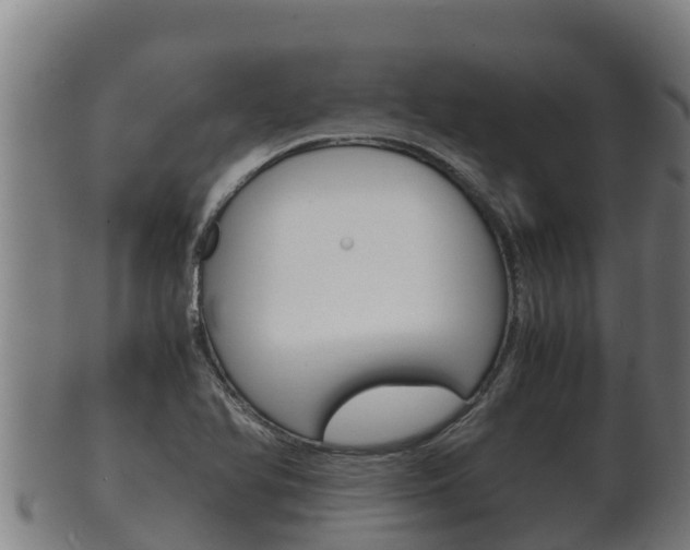 X0000100381366200806060816