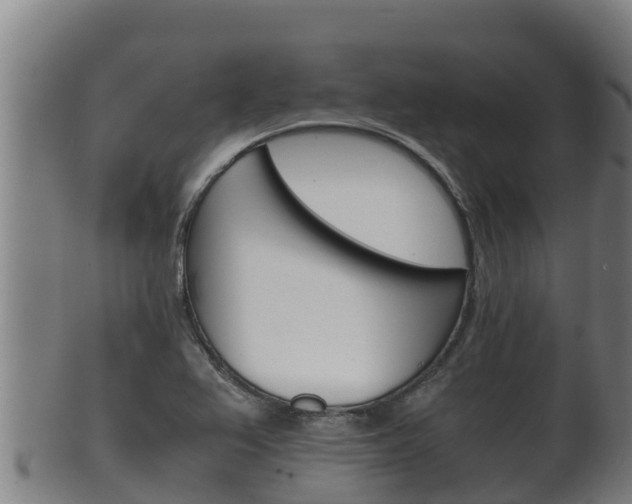 X0000100381367200806060816