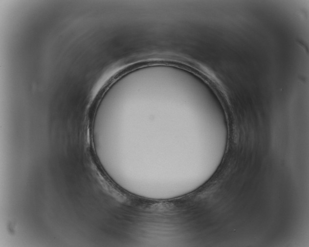 X0000100381368200806060816