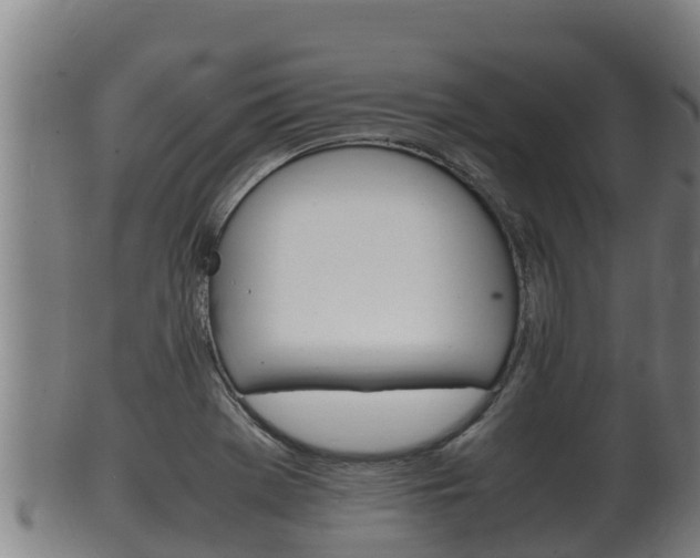 X0000100381369200806060816