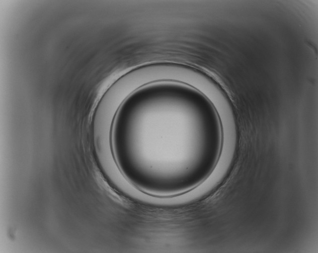 X0000100381371200806060816