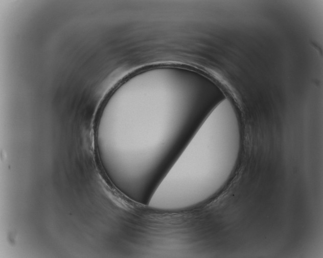 X0000100381372200806060816