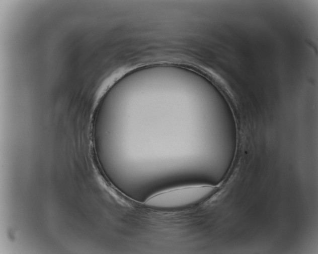 X0000100381373200806060816