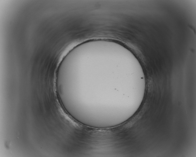 X0000100381374200806060816