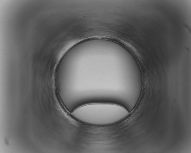 X0000100381375200806060816