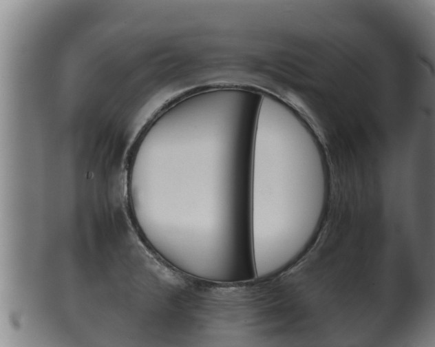 X0000100381376200806060816
