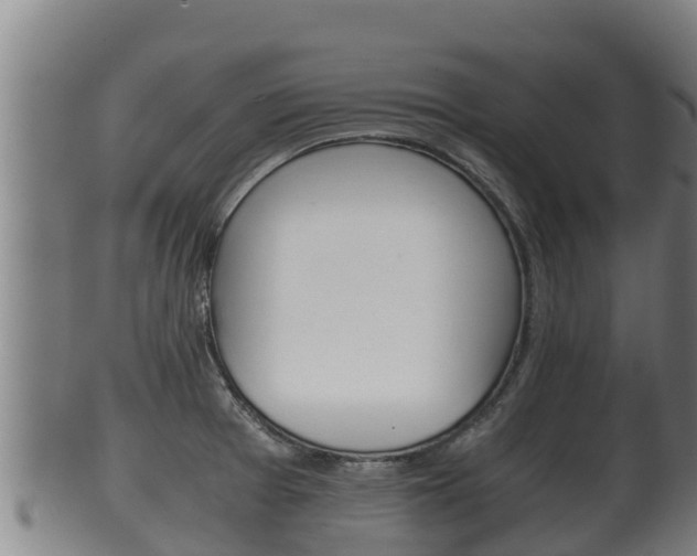 X0000100381377200806060816