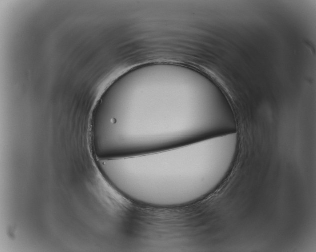 X0000100381379200806060816