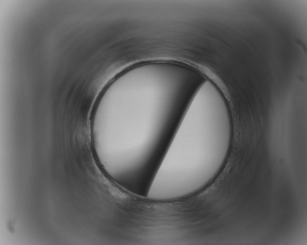 X0000100381380200806060816