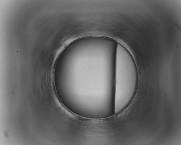 X0000100381381200806060816