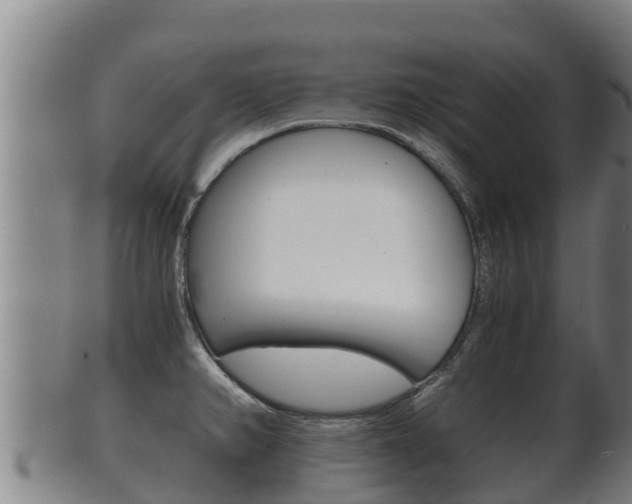 X0000100381382200806060816