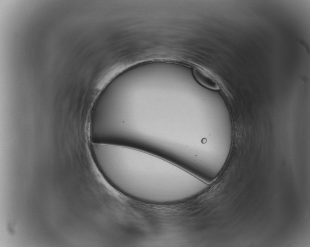 X0000100381383200806060816