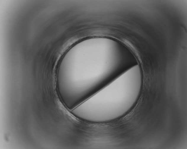 X0000100381384200806060816