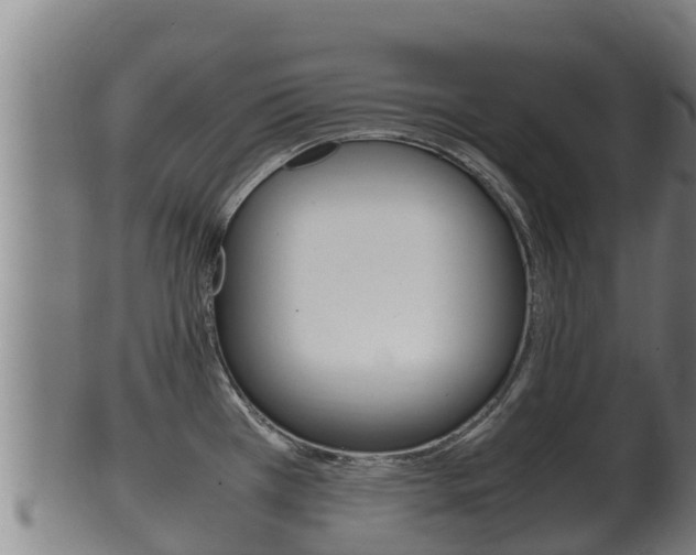 X0000100381385200806060816