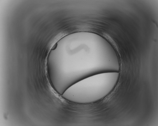 X0000100381386200806060816