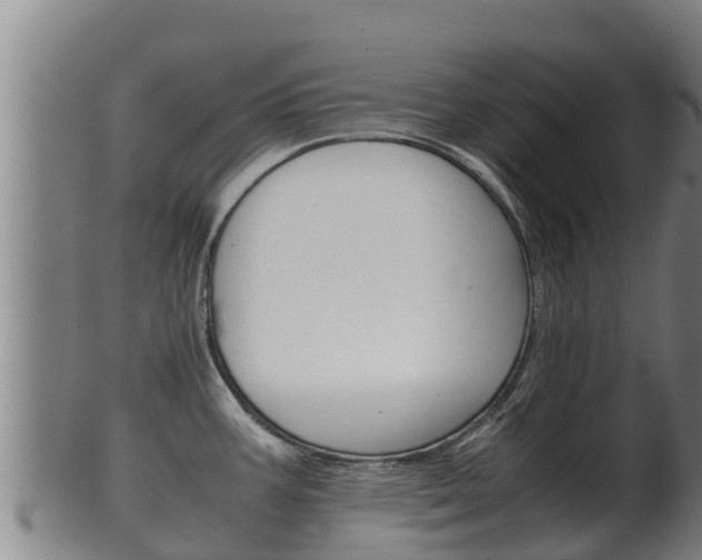 X0000100381387200806060816