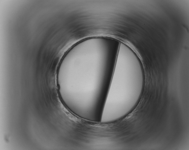 X0000100381388200806060816