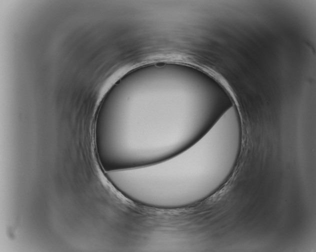X0000100381389200806060816
