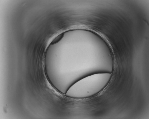 X0000100381390200806060816