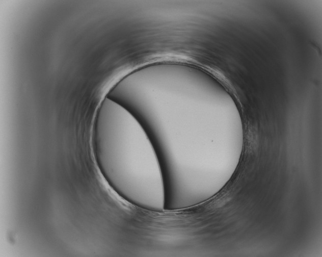 X0000100381391200806060816