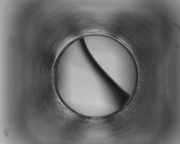 X0000100381392200806060816