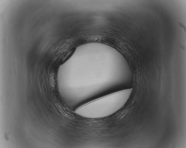 X0000100381394200806060815