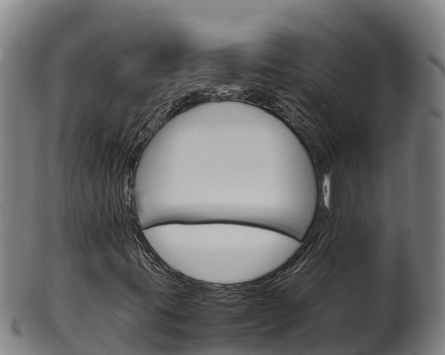 X0000100381395200806060815
