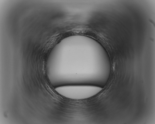 X0000100381396200806060815
