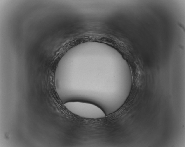 X0000100381397200806060815