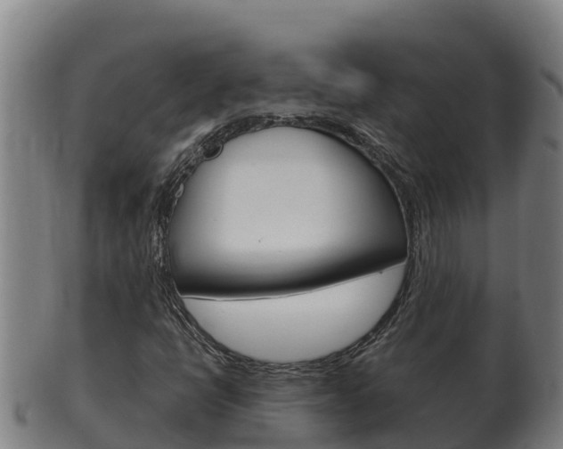 X0000100381398200806060815