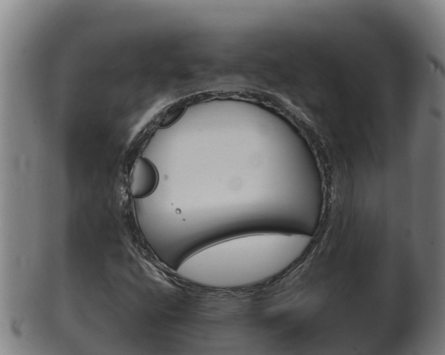 X0000100381400200806060815